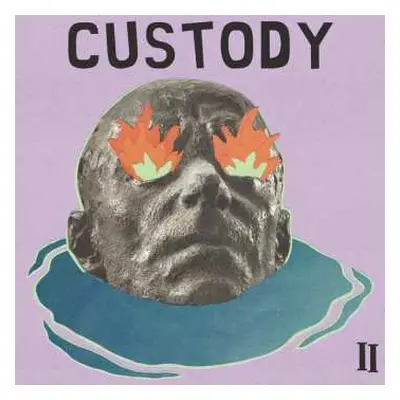 CD Custody: II