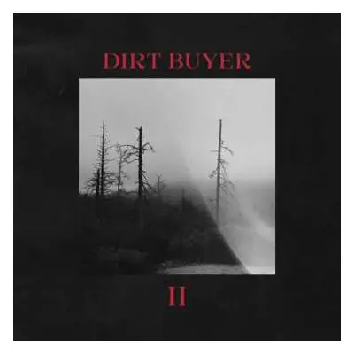 CD Dirt Buyer: Dirt Buyer Ii