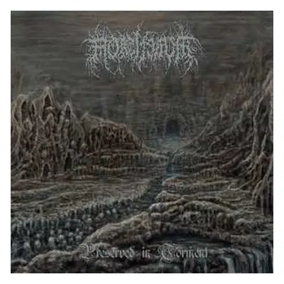 CD Mortiferum: Preserved In Torment DIGI