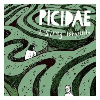 CD Picidae: A Stray Labyrinth