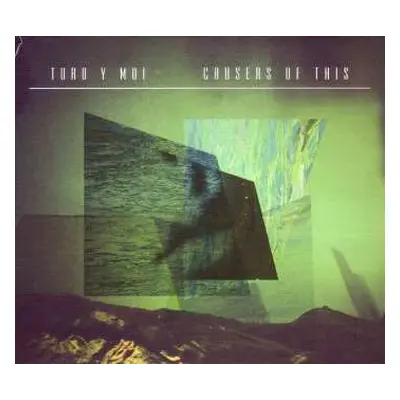 CD Toro Y Moi: Causers Of This