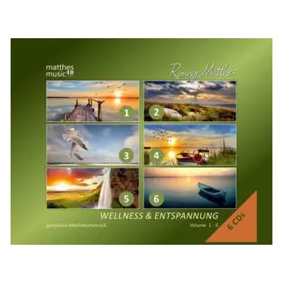 6CD Ronny Matthes: Wellness & Entspannung Vol.1 - 6 (gemafrei)