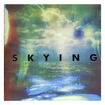 CD The Horrors: Skying