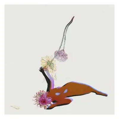 CD Future Islands: The Far Field