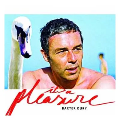 CD Baxter Dury: It's A Pleasure