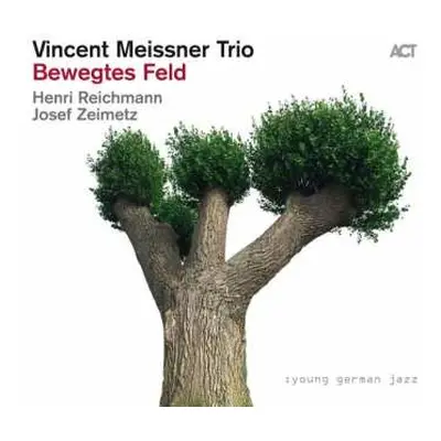 CD Vincent Meissner Trio: Bewegtes Feld