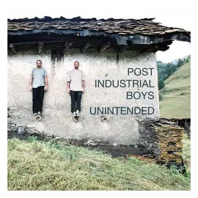 LP Post Industrial Boys: Unintended LTD