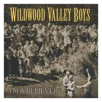 CD The Wildwood Valley Boys: I'm A Believer