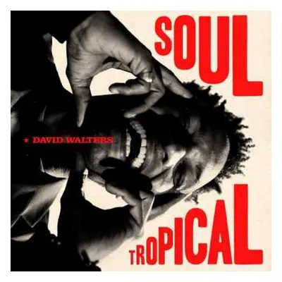 CD David Walters: Soul Tropical