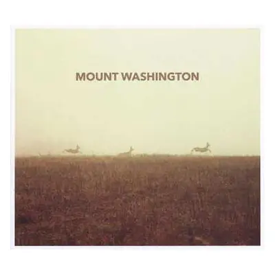 CD Washington: Mount Washington DIGI