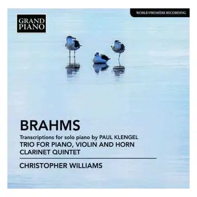 CD Johannes Brahms: Transcriptions For Solo Piano By Paul Klengel; Trio For Violin, Horn And Pia