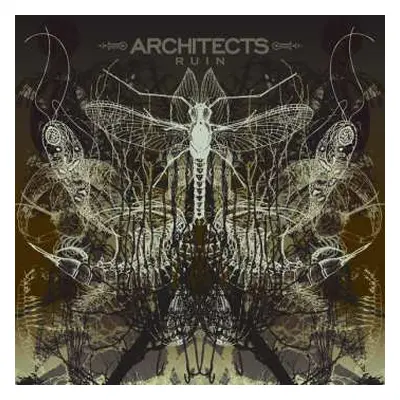 CD Architects: Ruin