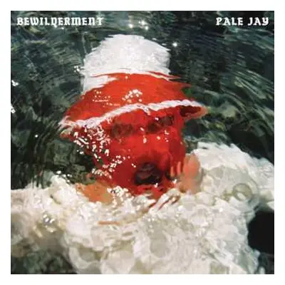 CD Pale Jay: Bewilderment