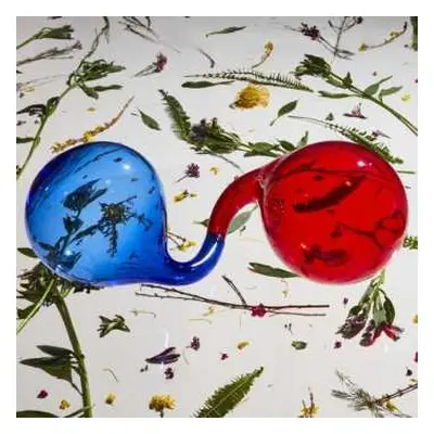 LP Dirty Projectors: Lamp Lit Prose