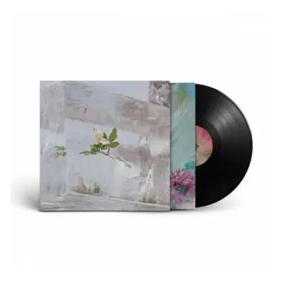 LP Efterklang: Windflowers