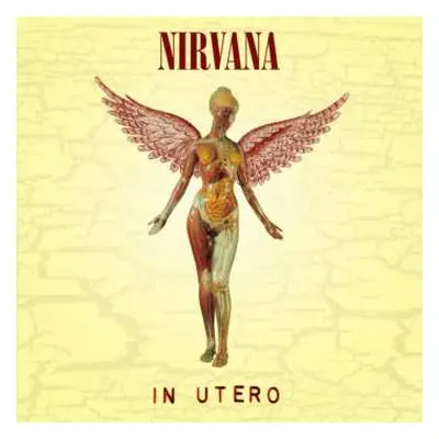 CD Nirvana: In Utero