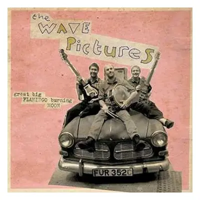 LP/CD The Wave Pictures: Great Big Flamingo Burning Moon PIC