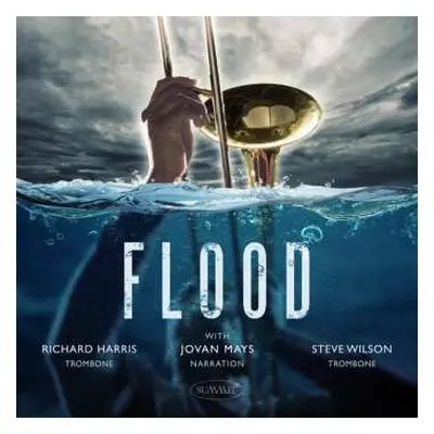 CD Steve / Richard H Wilson: Flood