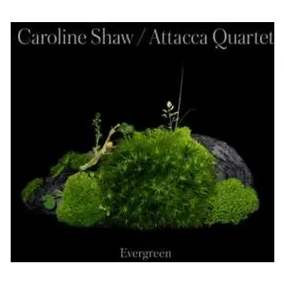 CD Caroline Shaw: Evergreen