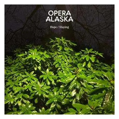 SP Opera Alaska: Hope / Staying NUM | CLR