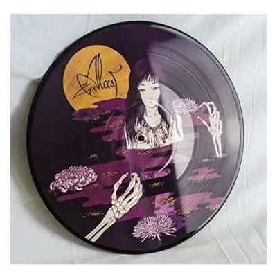 LP Alcest: Kodama LTD | NUM | PIC