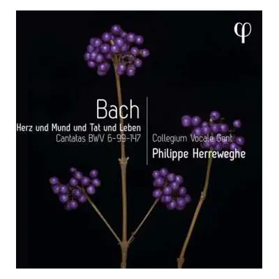 CD Johann Sebastian Bach: Kantaten Bwv 6,99,147