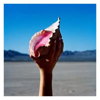 LP The Killers: Wonderful Wonderful