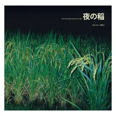 LP Reiko Kudo: 夜の稲 = Rice Field Silently Riping In The Night LTD