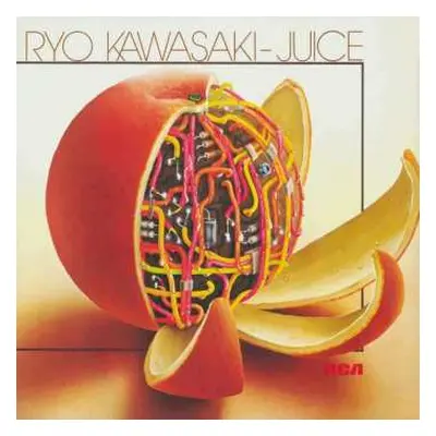 CD Ryo Kawasaki: Juice = ジュース