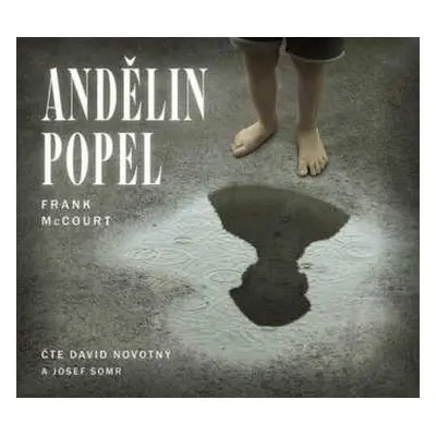 CD David Novotný: Mccourt: Andělin Popel