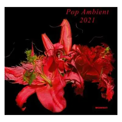 LP Various: Pop Ambient 2021