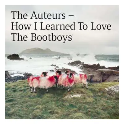 2CD The Auteurs: How I Learned To Love The Bootboys