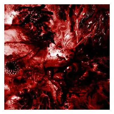 CD Excrescence: Inescapable Anatomical Deterioration