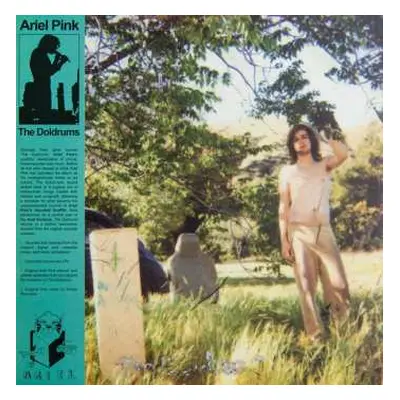 2LP Ariel Pink's Haunted Graffiti: The Doldrums