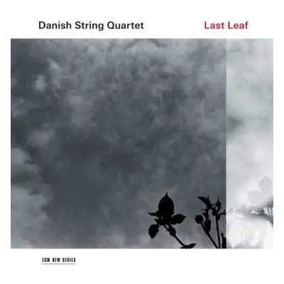 LP The Danish String Quartet: Last Leaf