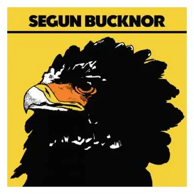 LP Segun Bucknor: Segun Bucknor