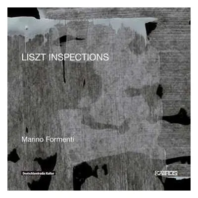 2CD Marino Formenti: Liszt Inspections