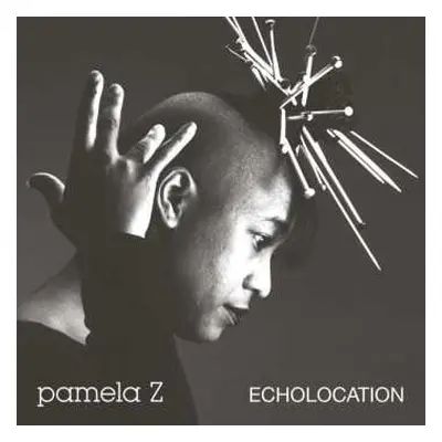 LP Pamela Z: Echolocation LTD