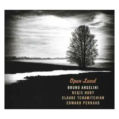 CD Bruno Angelini: Open Land