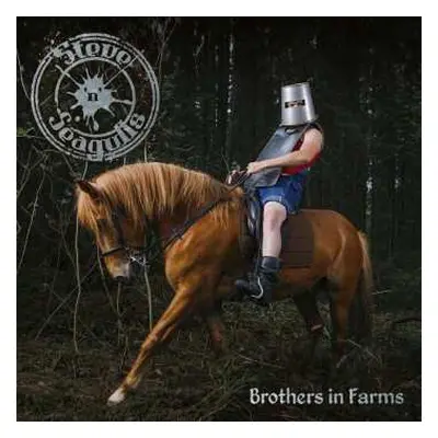 2LP Steve'n'Seagulls: Brothers In Farms