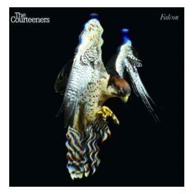 CD The Courteeners: Falcon