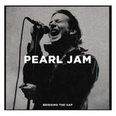 2LP Pearl Jam: Bridging The Gap