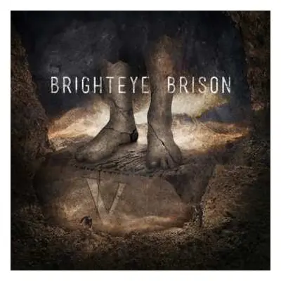 CD Brighteye Brison: V