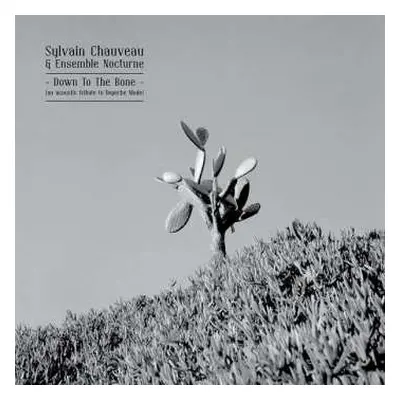 LP Sylvain Chauveau: Down To The Bone