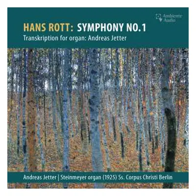 CD Hans Rott: Symphonie E-dur (orgelversion)