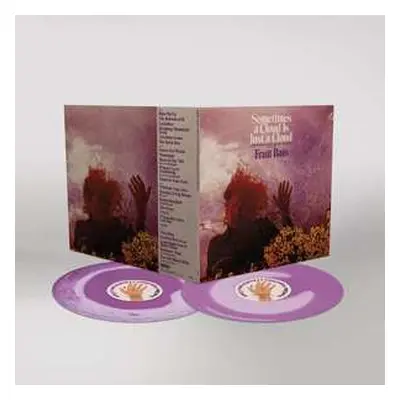 2LP Fruit Bats: Sometimes A Cloud Is Just A Cloud: Slow Growers, Sleeper Hits, And Lost Songs (2