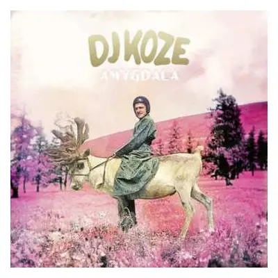 2LP/SP DJ Koze: Amygdala LTD