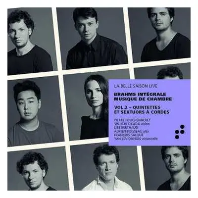 2CD Johannes Brahms: Kammermusik Vol.2