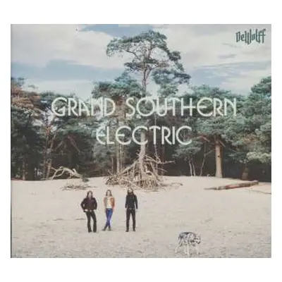 CD Dewolff: Grand Southern Electric