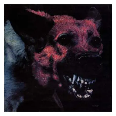 LP Protomartyr: Under Color Of Official Right